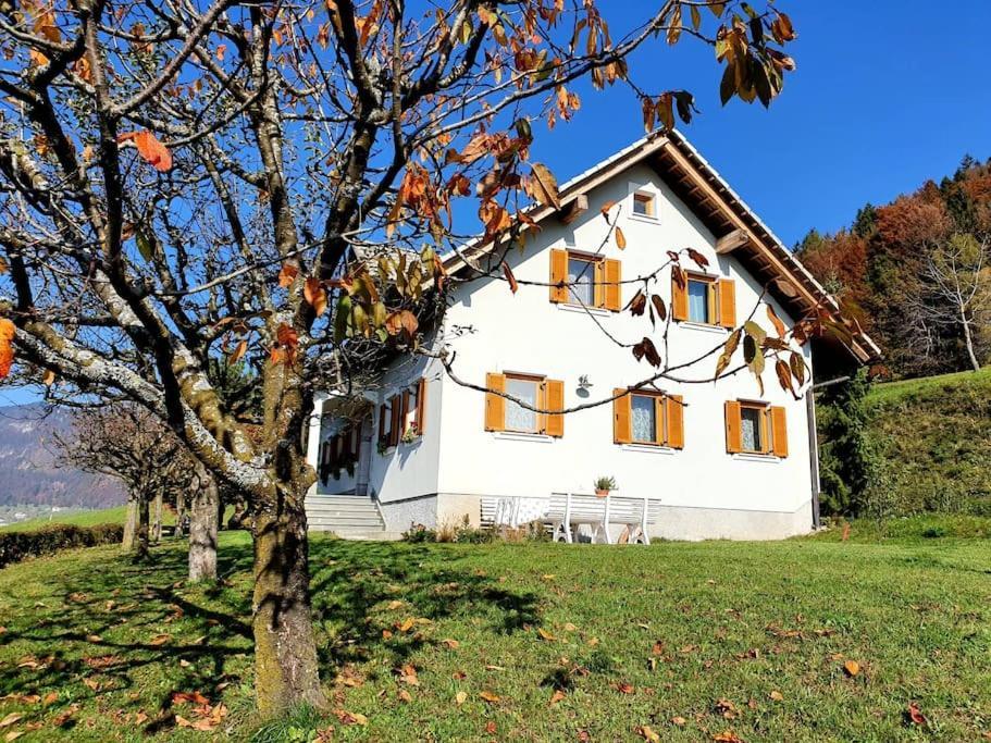 House Pucnk-Beautiful Countryside Zelezniki Exterior foto