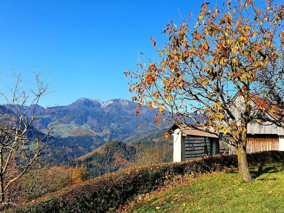 House Pucnk-Beautiful Countryside Zelezniki Exterior foto